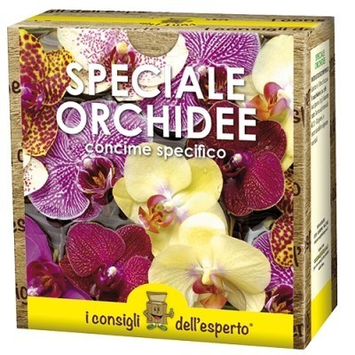 SPECIALE ORCHIDEE