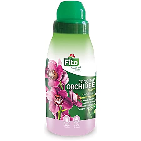 orchidee-plus